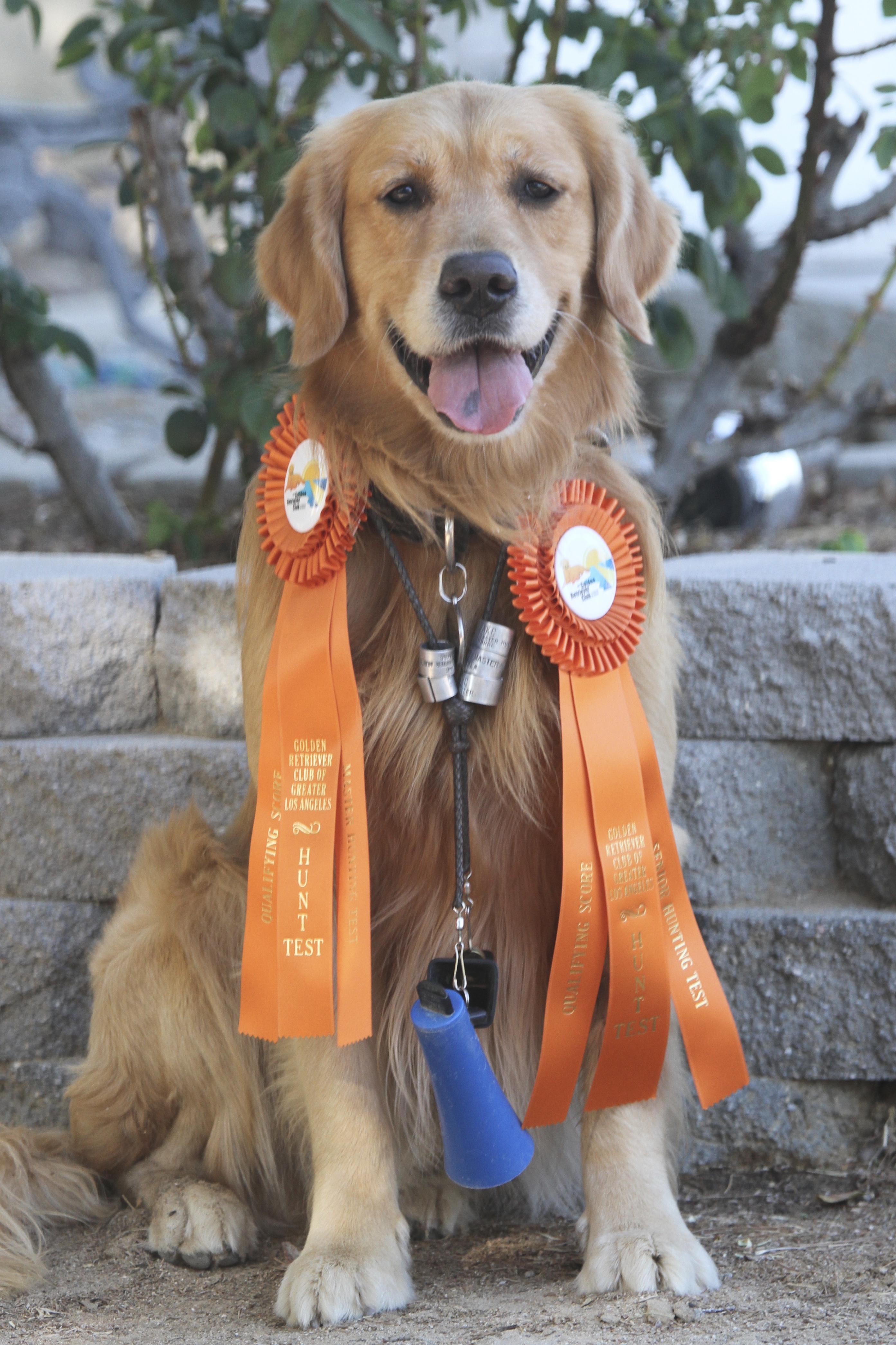 74cf9301-39b8-4f59-b3a3-6279140e6dad_1_201_a